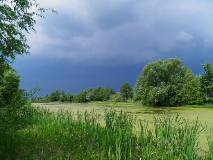 Єньків з panoramio.com - Еньков