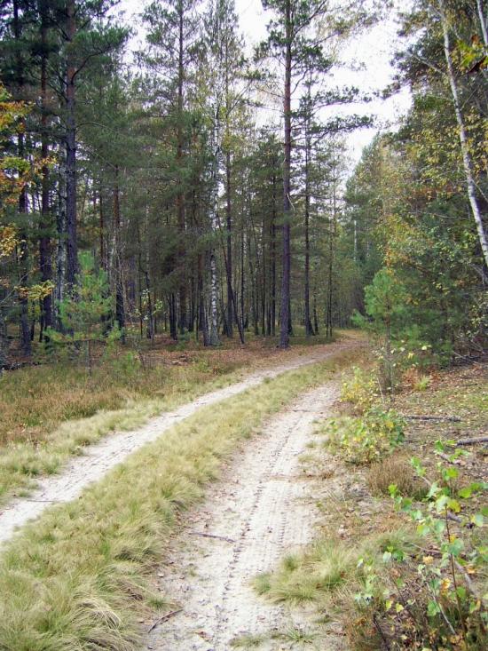 Вільхова з panoramio.com - Вільхова