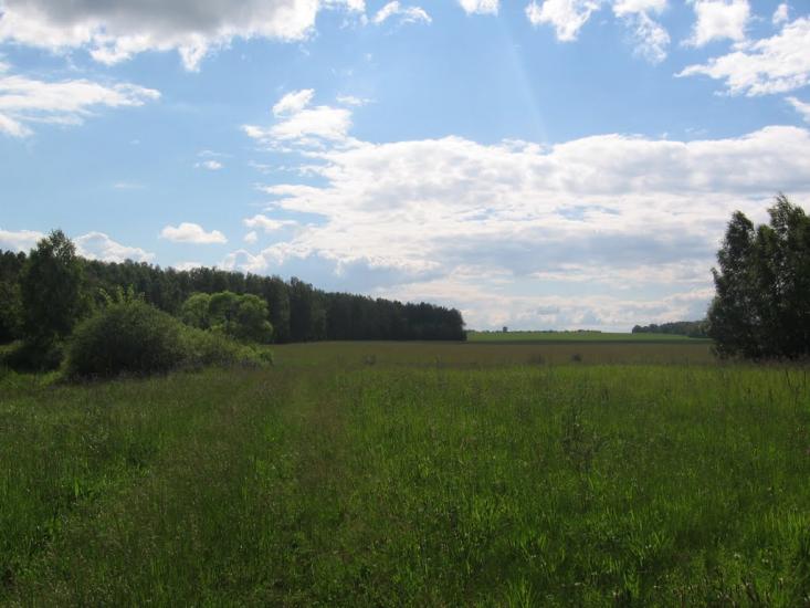 Терехівка з panoramio.com - Тереховка