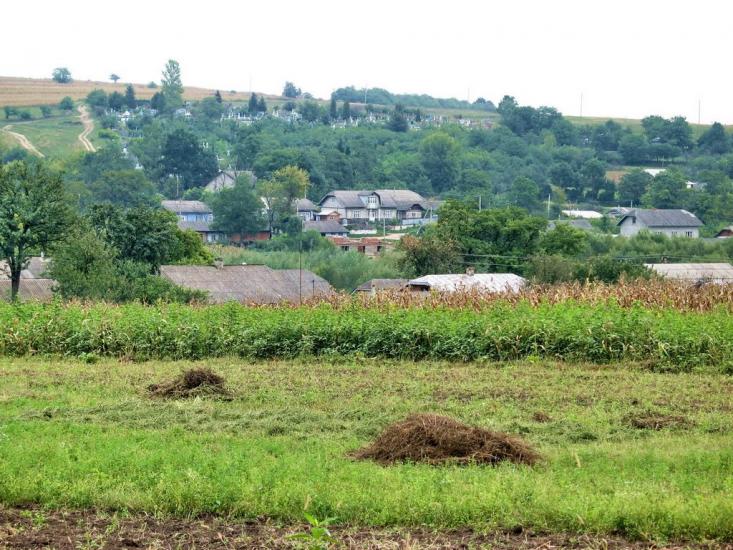 Стрільче з panoramio.com - Стрельче