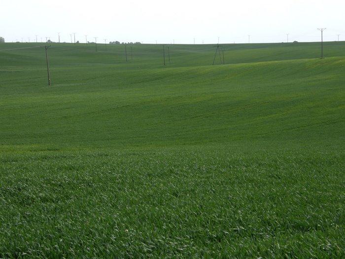 Угнів з panoramio.com - Ugniv