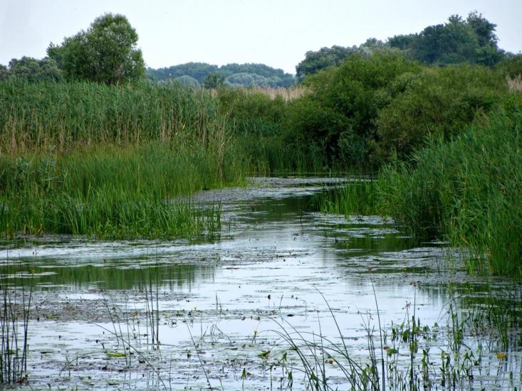 Журавка з panoramio.com - Zhuravka