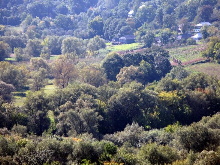 Зіньків з panoramio.com - Зиньков