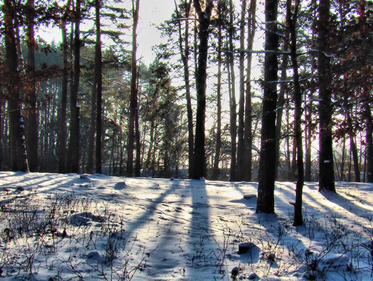 Озерне з panoramio.com - Озерное