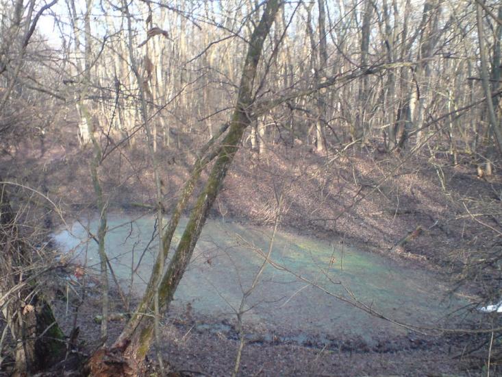 Білики з panoramio.com - Білики