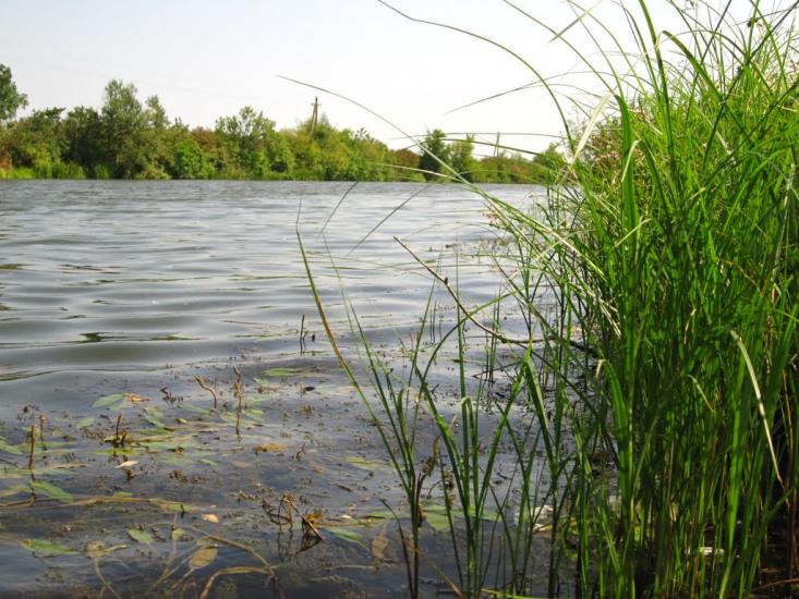 Дем'янів з panoramio.com - Демьянов