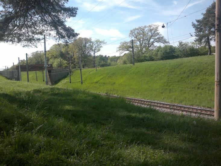 Суховоля з panoramio.com - Суховоля