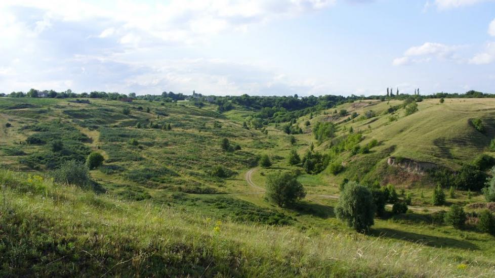 Заможнє з panoramio.com - Заможнє