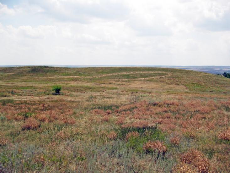 Врубівський з panoramio.com - Врубівський