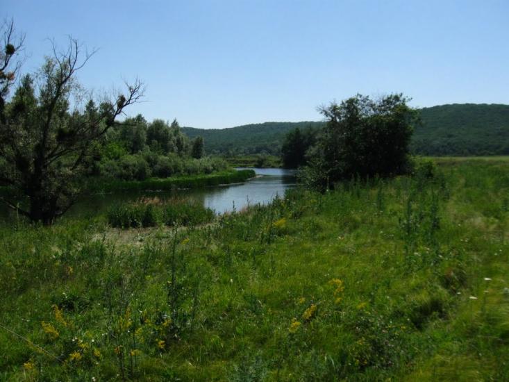 Студенок з panoramio.com - Студенок