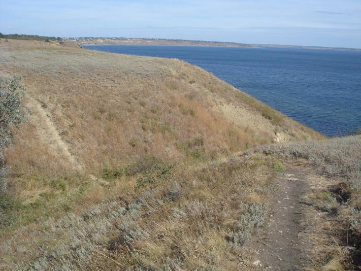 Пшонянове з panoramio.com - Пшонянове