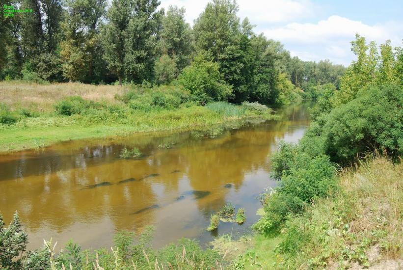 Кардашівка з panoramio.com - Кардашовка