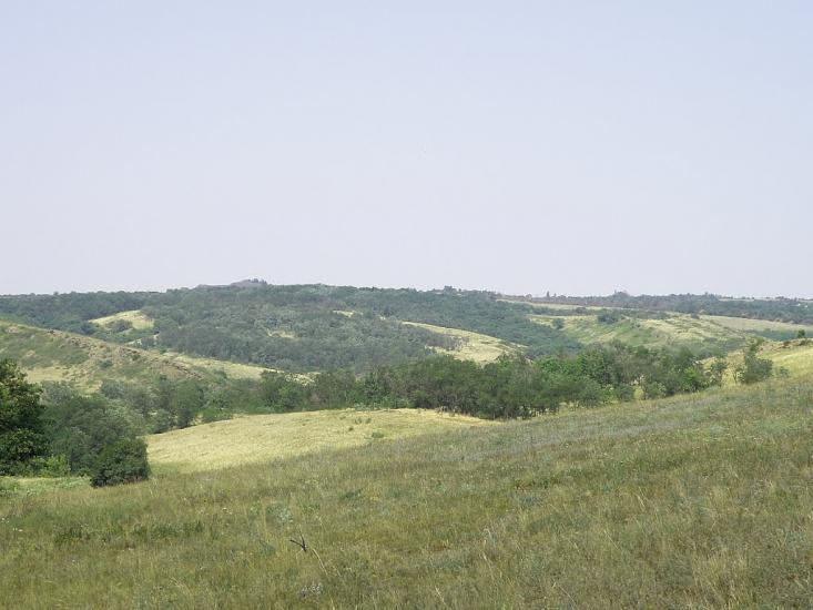 Княгинівка з panoramio.com - Княгиневка