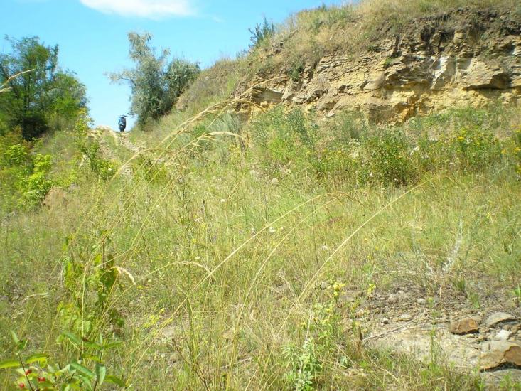 Кам'янка з panoramio.com - Камянка