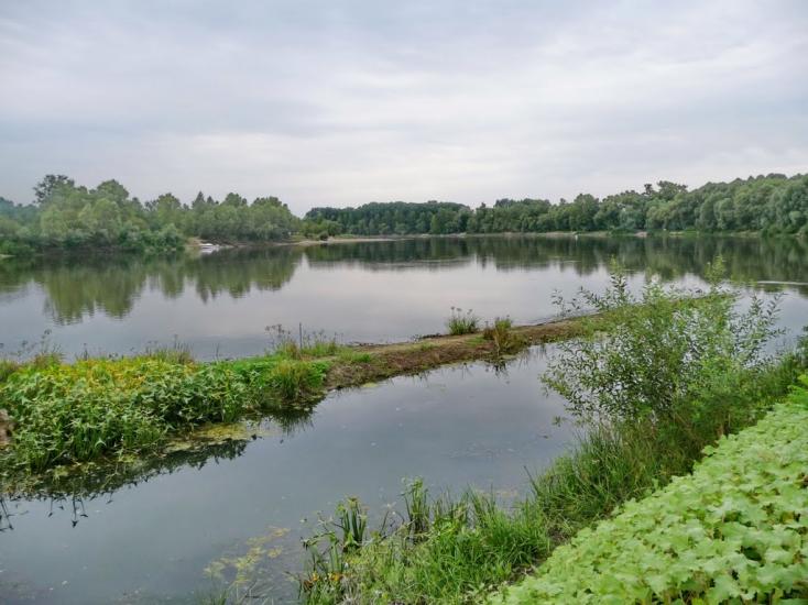 Вища Дубечня з panoramio.com - Вища Дубечня