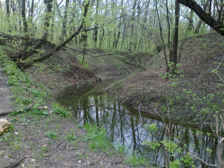 Платонівка з panoramio.com - Платоновка