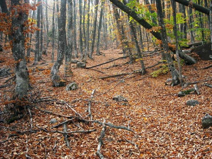 Малий Маяк з panoramio.com - Малий Маяк