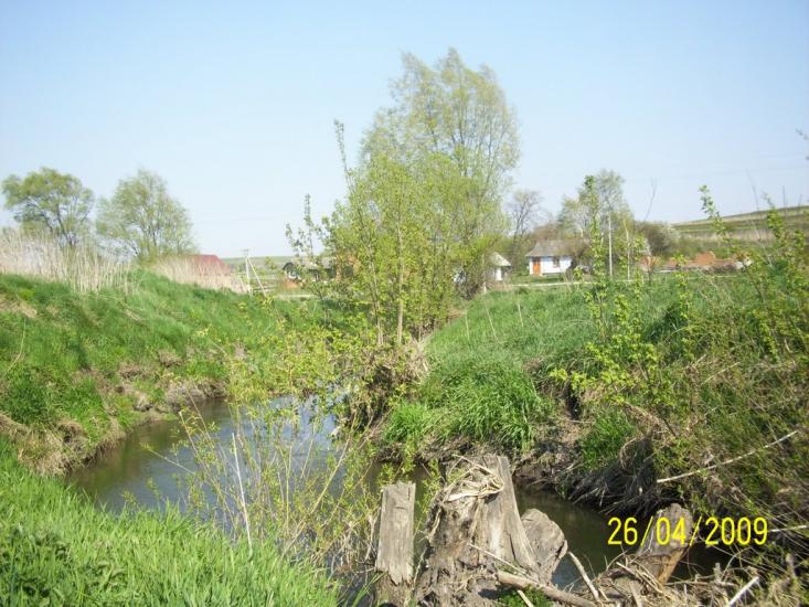 Тлумач з panoramio.com - Тлумач