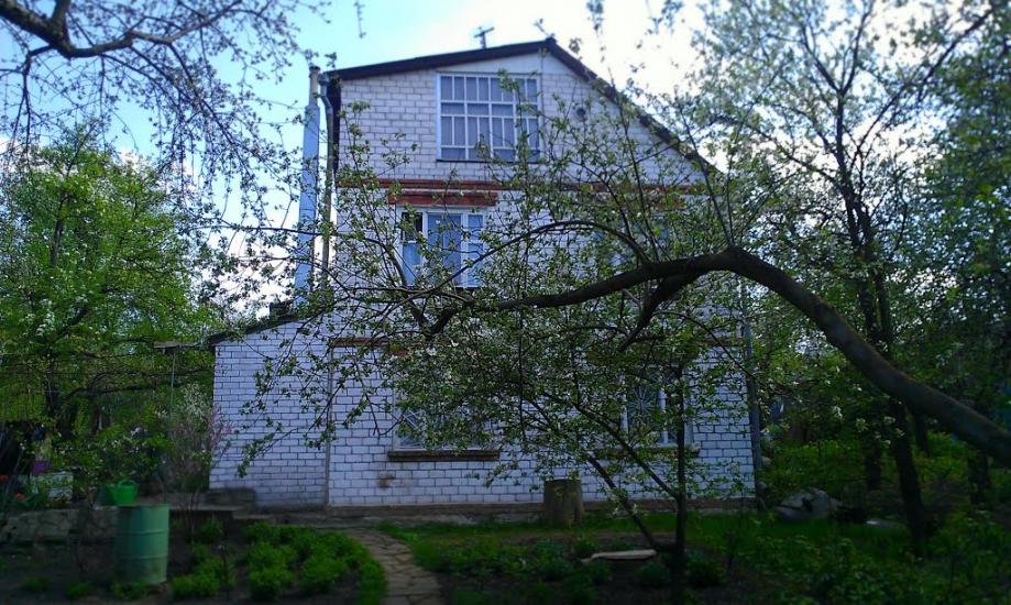 Нова Березівка з panoramio.com - Нова Березівка