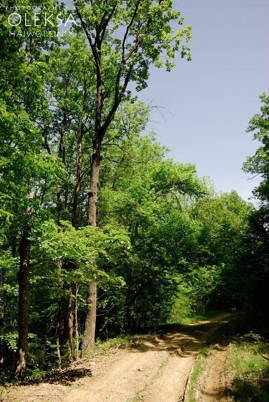 Багата Ущелина з panoramio.com - Bagata Uschelyna