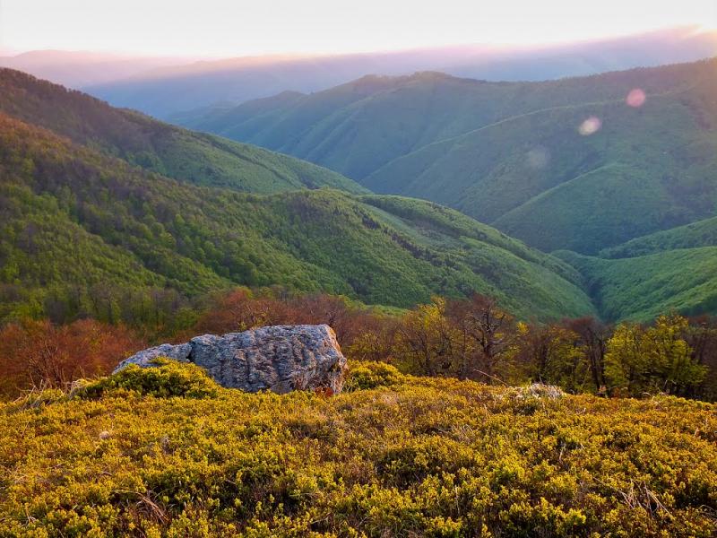 Потік з panoramio.com - Поток