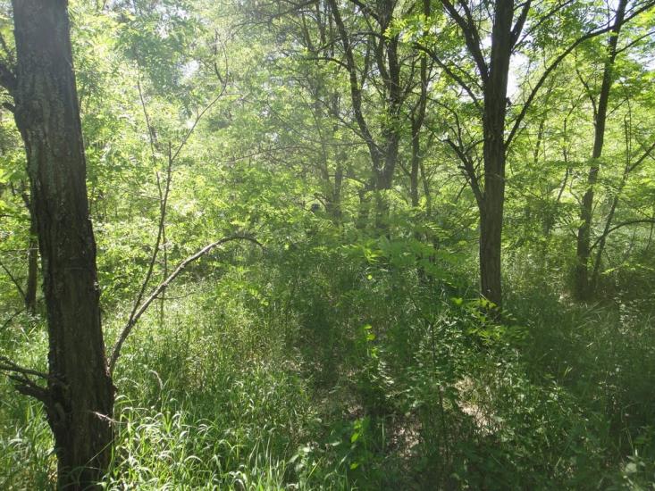 Крупське з panoramio.com - Крупське