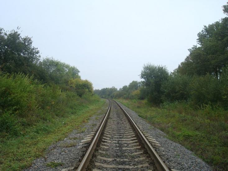 Григорівка з panoramio.com - Григорівка