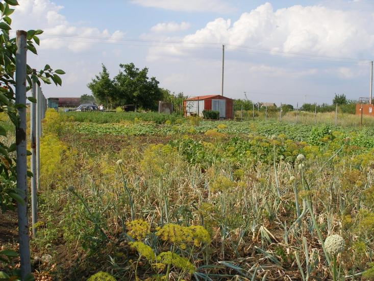 Санжійка з panoramio.com - Санжійка