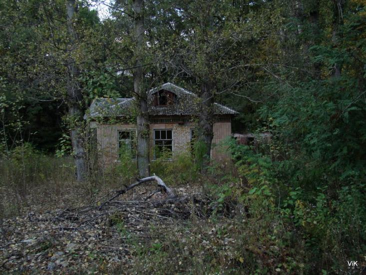 Зайченки з panoramio.com - Зайченки