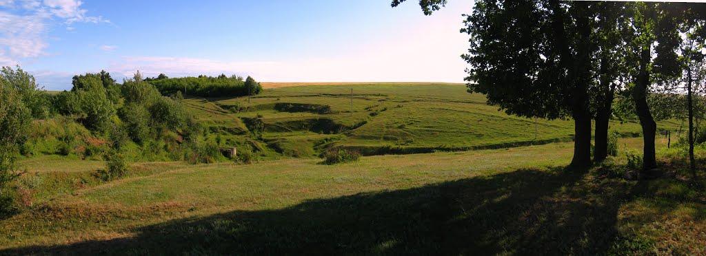 Хоменки з panoramio.com - Хоменки