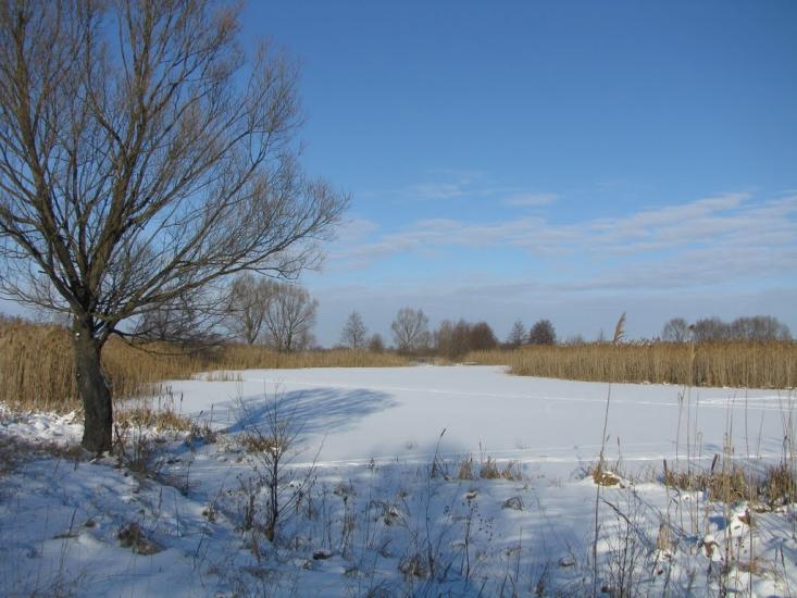 Білопілля з panoramio.com - Белополье