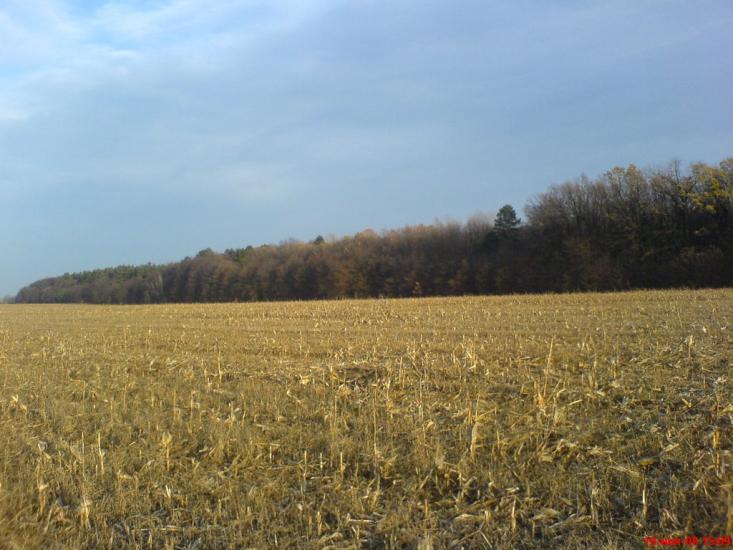 Тишківка з panoramio.com - Тишківка