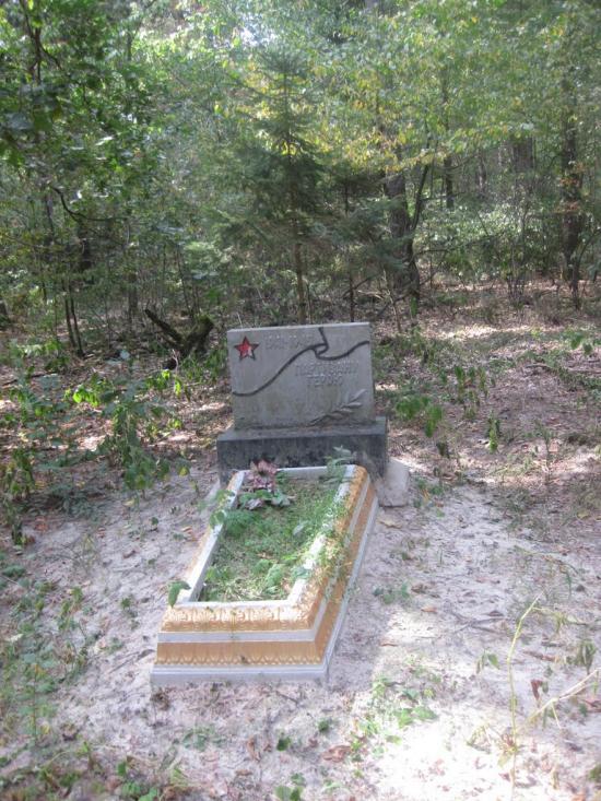 Черепашинці з panoramio.com - Cherepashyntsi