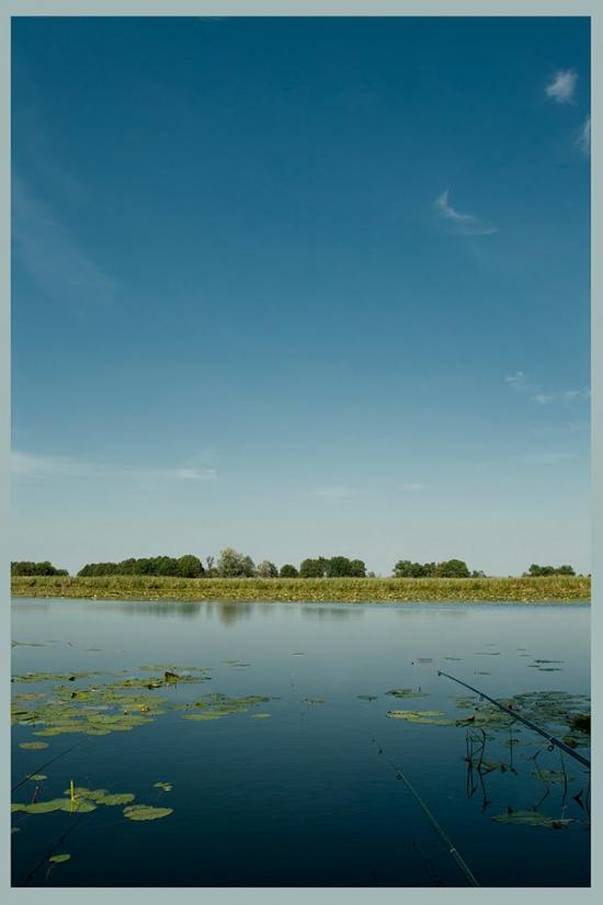 Нижча Дубечня з panoramio.com - Нижча Дубечня