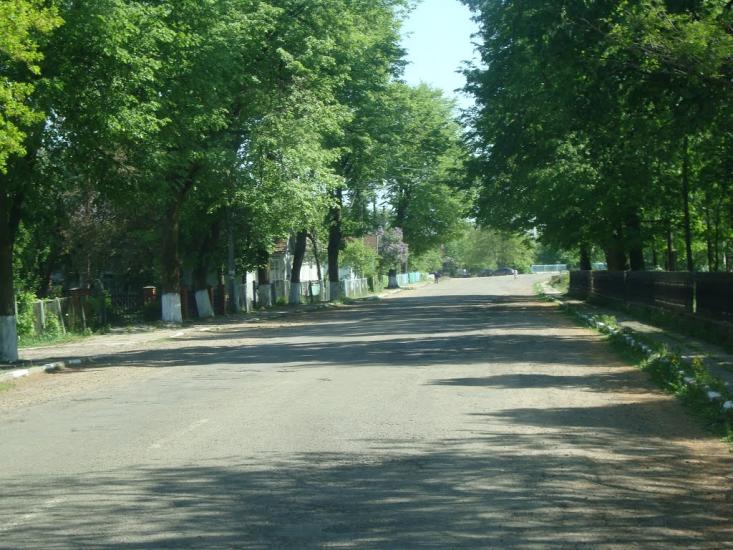 Ценява з panoramio.com - Ценява