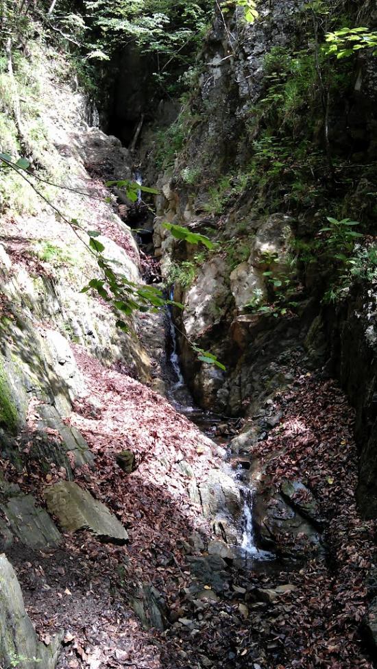 Прокурава з panoramio.com - Прокурава