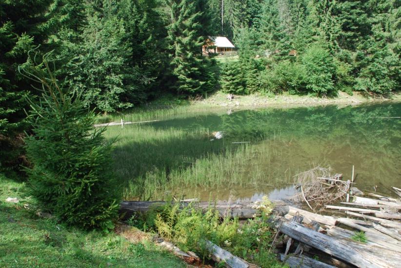 Бистриця з panoramio.com - Быстрица