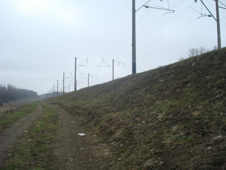 Стодульці з panoramio.com - Stodultsi