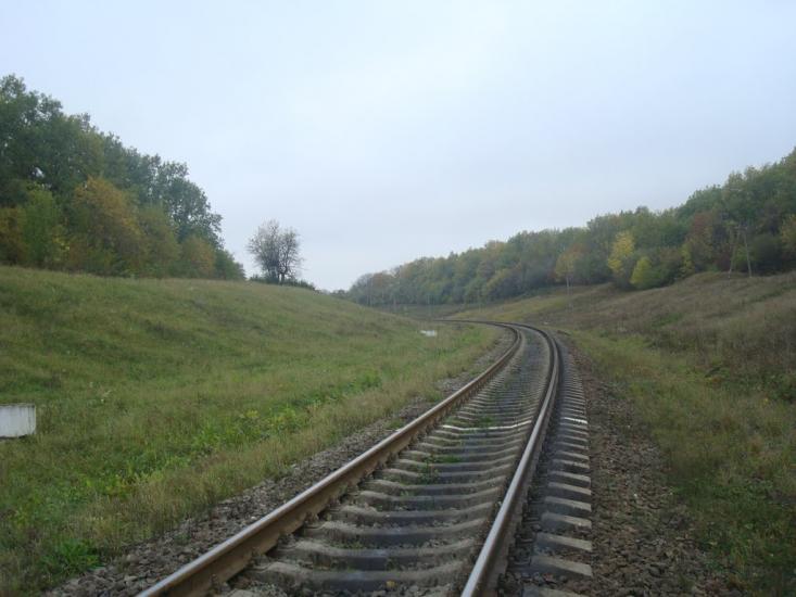 Буйволівці з panoramio.com - Буйволівці