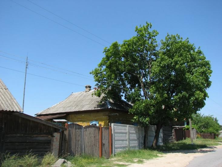 Червона Гута з panoramio.com - Червона Гута