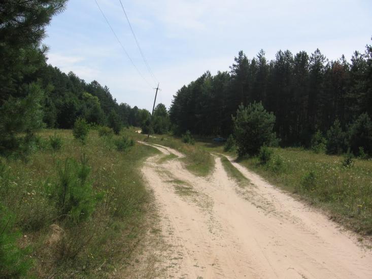 Роїще з panoramio.com - Роїще