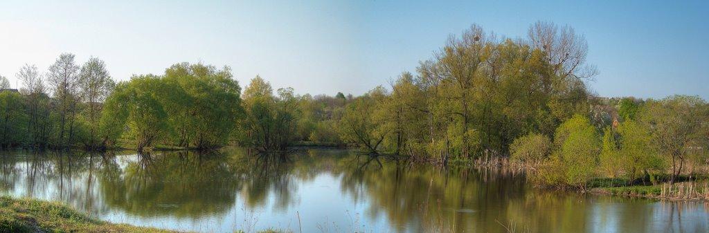 Міцівці з panoramio.com - Mitsivtsi