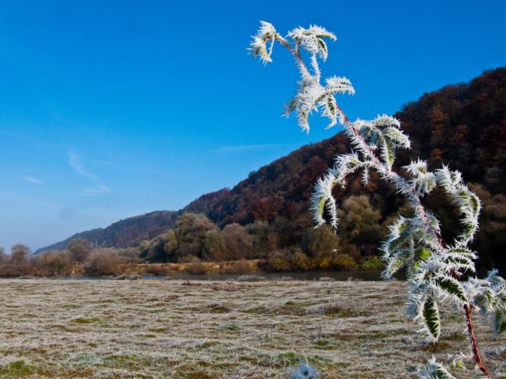 Журавно з panoramio.com - Журавно