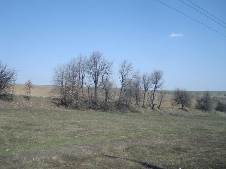 Чапаєвка з panoramio.com - Малые Коростовцы