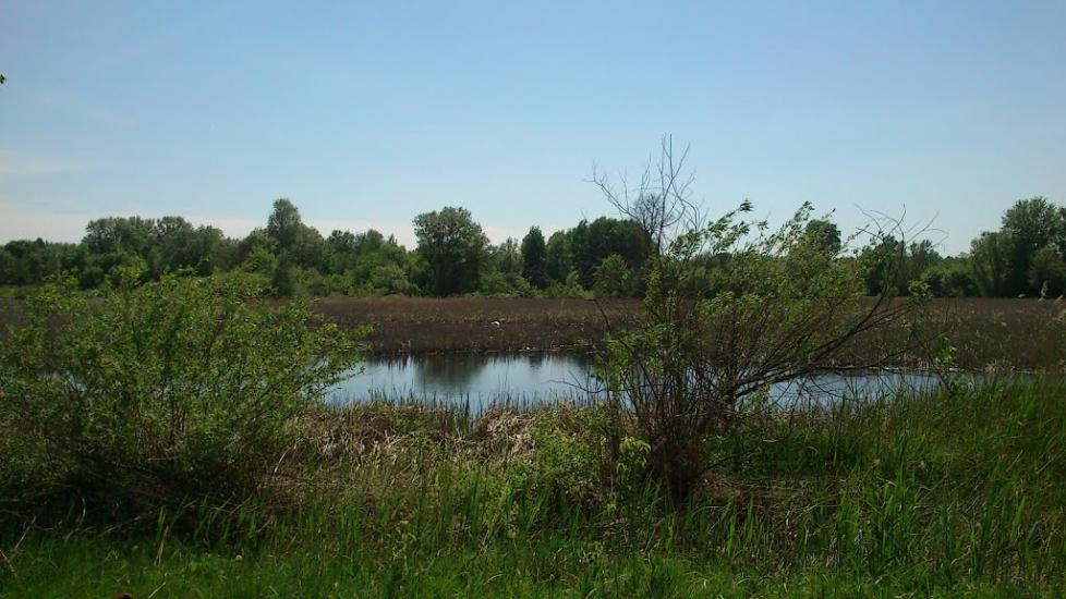 Ярешки з panoramio.com - Ярешки