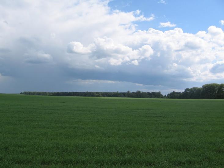 Товстоліс з panoramio.com - Толстолес
