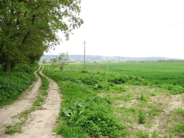 Черниця з panoramio.com - Черниця