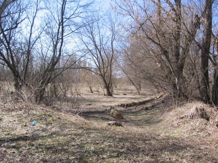 Малинівка з panoramio.com - Малиновка