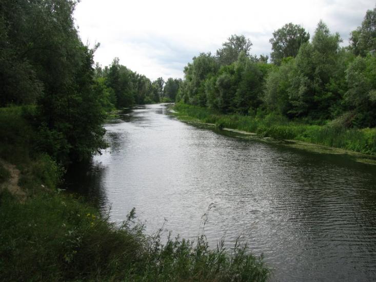 Глоди з panoramio.com - Глоды