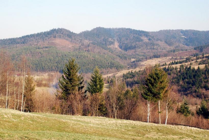 Кричка з panoramio.com - Кричка